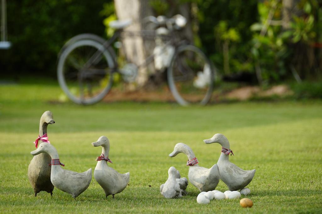 Perennial Resort Nai Yang Bagian luar foto